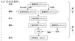 多倍體育種