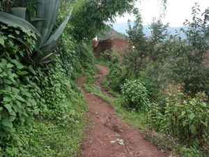 大樂秋小村