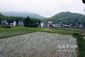 胡坦村[浙江省溫州市甌海區澤雅鎮下轄村]