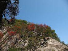 太平獅山國家森林公園