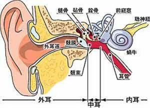 單純性中耳炎