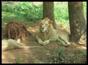 東山湖熱帶野生動物園 