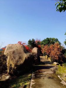 龍灣龍崗山遺址