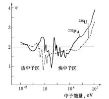 圖1  η隨中子能量的變化