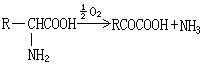 氨化氧化