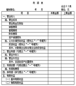 共同比利潤表