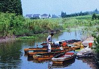 瀏河島度假村