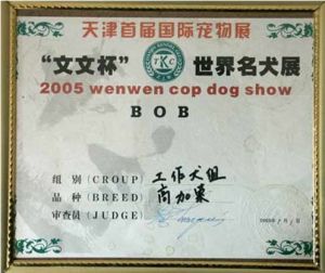 廣東悅寵犬舍 