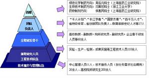 人才隊伍梯隊