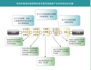 圖8:華彩諮詢集團管控主張