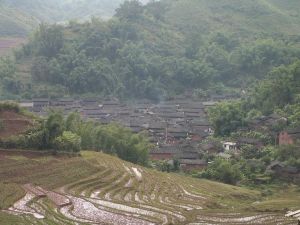 以外草地南華箐村