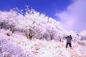 觀音山國家級自然保護區