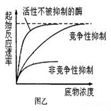 酶的競爭性抑制