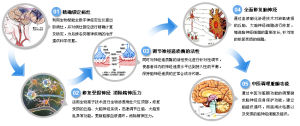 生物離子穴位滲透系統