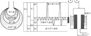 潮氣量