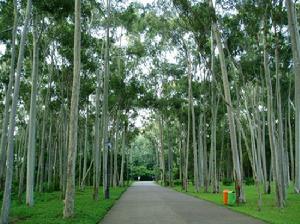 （圖）筆架山公園