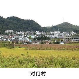 對門村[雲南曲靖市羅平縣板橋鎮下轄村]