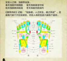 足為足為三陰經之始，三陽經之終