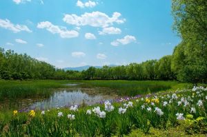 翠湖國家城市濕地公園