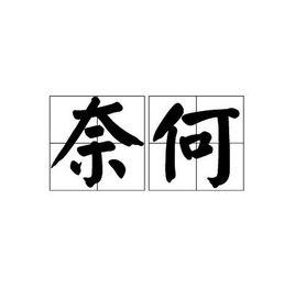 奈何[漢語詞語]