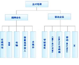 技術類有培訓