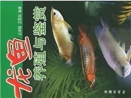 龍魚養殖與鑑賞