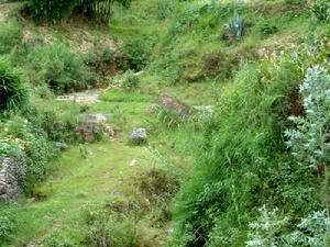 小秀林村山地