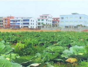 下社村[浙江省溫州市瑞安市仙降鎮下轄村]