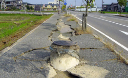 （圖）堪察加大地震