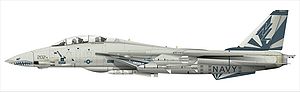 F-14雄貓式戰鬥機