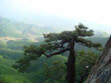 白雲山