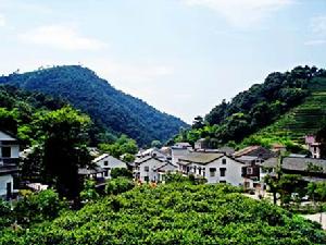 峰富自然村