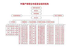 促進會組織機構