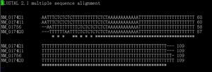 Clustal在test out 中的界面