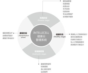 茵特里國際醫療