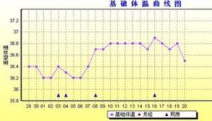 基礎體溫測定