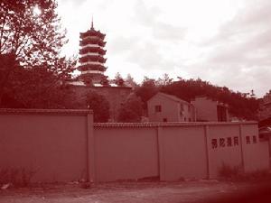 法華寺[浙江省東陽市寺院]