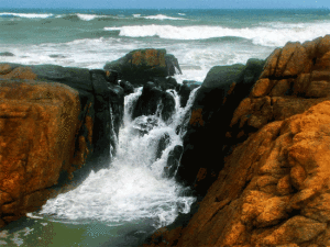 椰子島