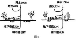 平衡水分