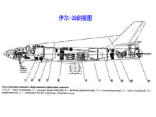 伊爾-28剖視圖