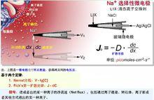 NMT技術原理示意圖