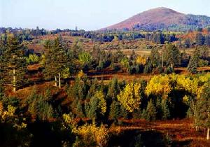 內蒙古白音敖包自然保護區