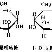 複合糖