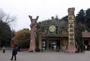 紅山森林動物公園