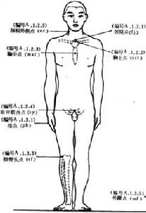 頸窩點