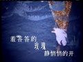 羞答答的玫瑰靜悄悄地開[孟庭葦演唱歌曲]