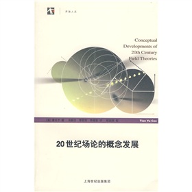 20世紀場論的概念發展