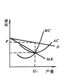 新張伯倫模型