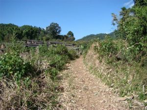 大綠廠山力箐自然村