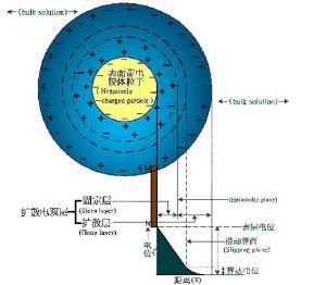 擴散電雙層